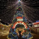 라테라스B | 여수 라테라스 윈터빌리지 후기｜입장권·운영시간·인공눈 타임 총정리 (아이와 겨울여행 추천)