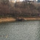 이월로스터스 송파점