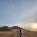 송학로 | 경남 고성박물관 방문 후기🌟