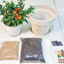 열매국공립어린이집 이미지