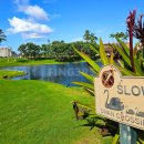 황제전자 | 하와이 골프장 코올리나CC 황제골프 라운드 미셸위 고향 코스 후기