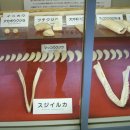 (주)마린파크 이미지