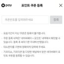 현대 카테크 이미지