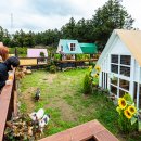 스파벨리스 이미지