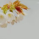 우리요양원 이미지