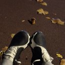 사평대로20길 76 (11) | 병원만 세번간 한 주.. 억까의 달 11월 제발 안녕~