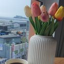 속초스테이션호스텔 이미지