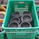 (주)엔텍스 이미지