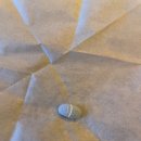 장성동물병원 이미지