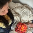 뚱띠토스트 | 🈷️4월 생일달 (쌍둥이 조카탄생,자궁근종수술 후기)