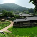 편백나무숲민박 이미지