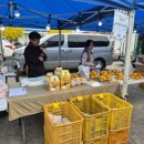 신기새마을영농조합법인 이미지