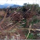 후미2리 이미지