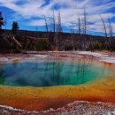 옐로우스톤 이미지