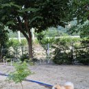 밀양스쿨캠핑장 이미지