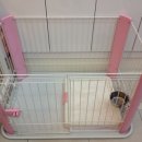 미니 앤 바니 애견샵 이미지