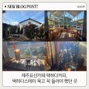 소소록 | 제주표선카페 택하다커피, 택하다스테이 묵고 꼭 들러야 했던 곳