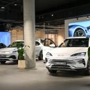 퍼펙트자동차 이미지