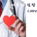 송명근 교수의 carvar수술에 대한 궁금증! 이미지