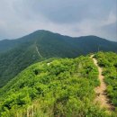 운길산 등산로[송촌-9] | 🌿 경기도 계곡이 보이는 등산하기 좋은 산 BEST 10