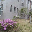 화합로1325번길 이미지