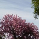 함덕초등학교선흘분교 이미지