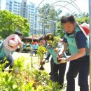 쌍촌동 오월어린이 공원 이미지