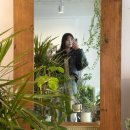 수플라워 | 반포꽃집 나무수플라워앤가든 실버마치 아이비 화분 기르기