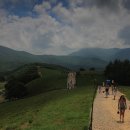 가리왕산목장 이미지