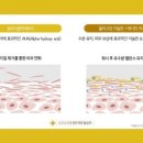 마인드워시 이미지
