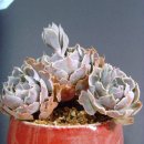 내품에햇살 이미지