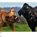 가족오락관 이미지