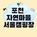 시민당구장 | 가성비 최고 경기도 포천 자연마을 서울캠핑장 예약방법부터 명당까지(2026년)