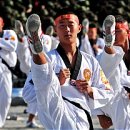 e-태권도 이미지