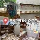 머리띵 | 부산 행운 거북이 파는 소품샵 프레젠띵 바이 어도르