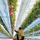 창조농장 이미지