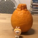 하모니마트 이미지