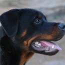 팔공산왕건길 6코스 이미지