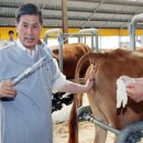 정란축산 이미지