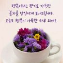 가수님 브랜드평판 다녀왔어요 ♡ 이미지