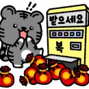 음매 이미지