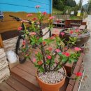 설곡리 마을회관 이미지