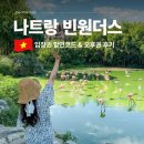 나트랑 빈원더스 입장권 가격 비교 빈펄랜드 오후권 케이블카 후기