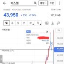 에스엘 독 이미지