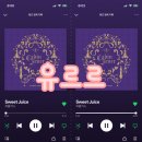 유르르 - 강남구 봉은사로11길 21 | 유르르