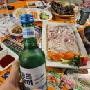 5월 부산 여행