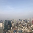 Sky View(스카이뷰) Daum카페