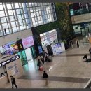 주차24 | 청주공항주차대행 실사용 후기, 24시간 안심 서비스 총정리 ✈️🚗