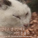 나비동물병원 이미지