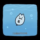 뉴텔미 노래연습장 | [일상] 250519~250525..